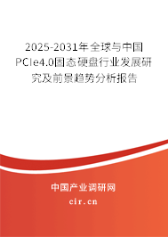 2025-2031年全球與中國(guó)PCIe4.0固態(tài)硬盤行業(yè)發(fā)展研究及前景趨勢(shì)分析報(bào)告