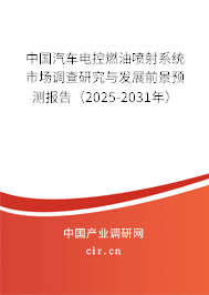 中國汽車電控燃油噴射系統(tǒng)市場調(diào)查研究與發(fā)展前景預(yù)測報告（2025-2031年）