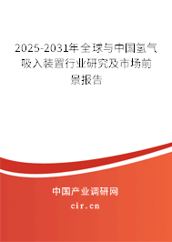 2025-2031年全球與中國氫氣吸入裝置行業(yè)研究及市場前景報告