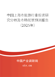 中國(guó)上海市能源行業(yè)現(xiàn)狀研究分析及市場(chǎng)前景預(yù)測(cè)報(bào)告（2025年）
