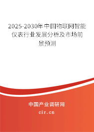 2025-2030年中國(guó)物聯(lián)網(wǎng)智能儀表行業(yè)發(fā)展分析及市場(chǎng)前景預(yù)測(cè)