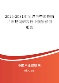 2025-2031年全球與中國樟腦片市場調研及行業(yè)前景預測報告