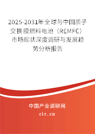 2025-2031年全球與中國(guó)質(zhì)子交換膜燃料電池（REMFC）市場(chǎng)現(xiàn)狀深度調(diào)研與發(fā)展趨勢(shì)分析報(bào)告