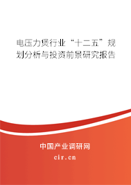 電壓力煲行業(yè)“十二五”規(guī)劃分析與投資前景研究報(bào)告
