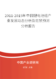 2011-2015年中國鋰電池組產(chǎn)業(yè)發(fā)展動態(tài)分析及前景預(yù)測分析報告