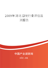 2009年湖北日化行業(yè)評估監(jiān)測報告