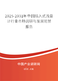2025-2031年中國插入式流量計(jì)行業(yè)市場調(diào)研與發(fā)展前景報(bào)告