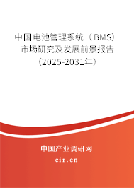 中國(guó)電池管理系統(tǒng)（BMS）市場(chǎng)研究及發(fā)展前景報(bào)告（2025-2031年）