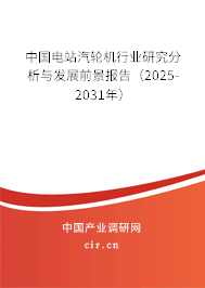 中國(guó)電站汽輪機(jī)行業(yè)研究分析與發(fā)展前景報(bào)告（2025-2031年）