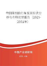 中國(guó)碟剎自行車發(fā)展現(xiàn)狀分析與市場(chǎng)前景報(bào)告（2025-2031年）