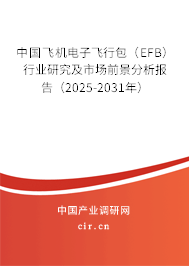 中國飛機(jī)電子飛行包（EFB）行業(yè)研究及市場前景分析報告（2025-2031年）