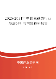 2025-2031年中國氟硼酸行業(yè)發(fā)展分析與前景趨勢報告