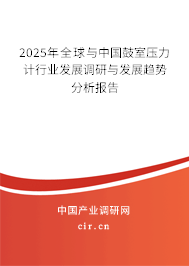 2025年全球與中國鼓室壓力計行業(yè)發(fā)展調(diào)研與發(fā)展趨勢分析報告