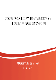 2025-2031年中國(guó)硅基材料行業(yè)現(xiàn)狀與發(fā)展趨勢(shì)預(yù)測(cè)