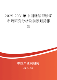 2025-2031年中國(guó)硅酸鉀砂漿市場(chǎng)研究分析及前景趨勢(shì)報(bào)告