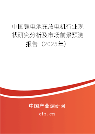 中國(guó)鋰電池充放電機(jī)行業(yè)現(xiàn)狀研究分析及市場(chǎng)前景預(yù)測(cè)報(bào)告（2025年）