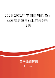 2025-2031年中國磨削鋼球行業(yè)發(fā)展調(diào)研與行業(yè)前景分析報告