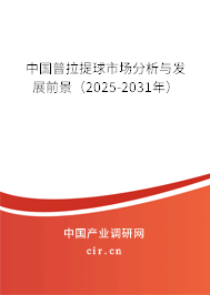 中國(guó)普拉提球市場(chǎng)分析與發(fā)展前景（2025-2031年）