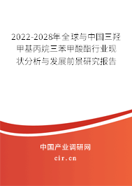 2022-2028年全球與中國(guó)三羥甲基丙烷三苯甲酸酯行業(yè)現(xiàn)狀分析與發(fā)展前景研究報(bào)告