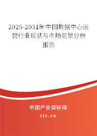 2025-2031年中國(guó)數(shù)據(jù)中心運(yùn)營(yíng)行業(yè)現(xiàn)狀與市場(chǎng)前景分析報(bào)告