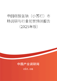 中國(guó)碳酸氫鈉（小蘇打）市場(chǎng)調(diào)研與行業(yè)前景預(yù)測(cè)報(bào)告（2024年版）