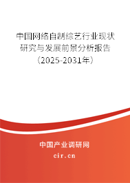 中國網(wǎng)絡(luò)自制綜藝行業(yè)現(xiàn)狀研究與發(fā)展前景分析報告（2025-2031年）