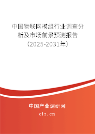 中國物聯(lián)網(wǎng)模組行業(yè)調(diào)查分析及市場前景預(yù)測報(bào)告（2025-2031年）