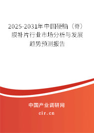 2025-2031年中國硬腦（脊）膜補(bǔ)片行業(yè)市場分析與發(fā)展趨勢預(yù)測報(bào)告