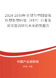 2024-2030年全球與中國增強熱塑性塑料管（RTP）行業(yè)發(fā)展深度調(diào)研與未來趨勢報告