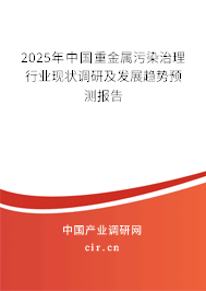2025年中國重金屬污染治理行業(yè)現(xiàn)狀調(diào)研及發(fā)展趨勢預(yù)測報(bào)告