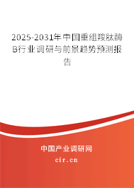2025-2031年中國重組羧肽酶B行業(yè)調(diào)研與前景趨勢預(yù)測報告