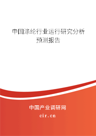 中國(guó)滌綸行業(yè)運(yùn)行研究分析預(yù)測(cè)報(bào)告