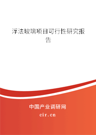 浮法玻璃項(xiàng)目可行性研究報(bào)告