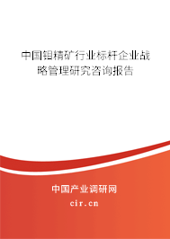 中國鉬精礦行業(yè)標桿企業(yè)戰(zhàn)略管理研究咨詢報告