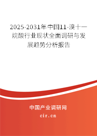 2025-2031年中國(guó)11-溴十一烷酸行業(yè)現(xiàn)狀全面調(diào)研與發(fā)展趨勢(shì)分析報(bào)告