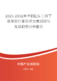 2025-2031年中國2,6-二叔丁基苯酚行業(yè)現狀全面調研與發(fā)展趨勢分析報告