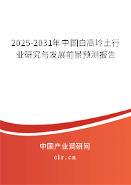 2025-2031年中國白高嶺土行業(yè)研究與發(fā)展前景預(yù)測報告