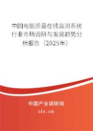 中國電能質(zhì)量在線監(jiān)測系統(tǒng)行業(yè)市場調(diào)研與發(fā)展趨勢分析報告（2025年）