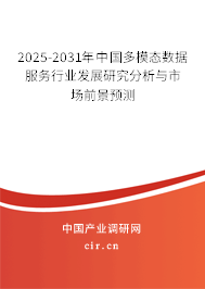2025-2031年中國多模態(tài)數(shù)據(jù)服務(wù)行業(yè)發(fā)展研究分析與市場前景預(yù)測