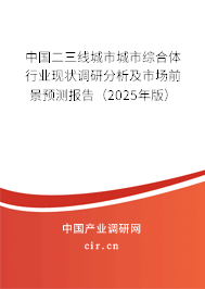 中國二三線城市城市綜合體行業(yè)現(xiàn)狀調(diào)研分析及市場前景預(yù)測報告（2025年版）