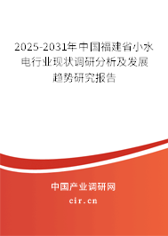 2025-2031年中國福建省小水電行業(yè)現(xiàn)狀調研分析及發(fā)展趨勢研究報告
