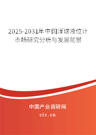 2025-2031年中國(guó)浮球液位計(jì)市場(chǎng)研究分析與發(fā)展前景