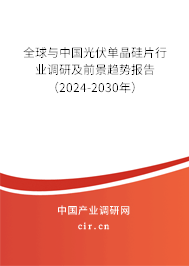 全球與中國光伏單晶硅片行業(yè)調研及前景趨勢報告（2024-2030年）