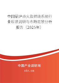 中國(guó)鍋爐點(diǎn)火及燃燒系統(tǒng)行業(yè)現(xiàn)狀調(diào)研與市場(chǎng)前景分析報(bào)告（2025年）