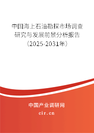 中國(guó)海上石油勘探市場(chǎng)調(diào)查研究與發(fā)展前景分析報(bào)告（2025-2031年）