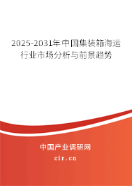 2025-2031年中國集裝箱海運行業(yè)市場分析與前景趨勢