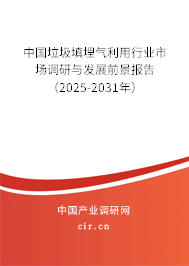 中國垃圾填埋氣利用行業(yè)市場調(diào)研與發(fā)展前景報告（2025-2031年）