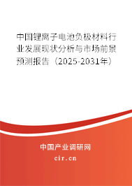中國(guó)鋰離子電池負(fù)極材料行業(yè)發(fā)展現(xiàn)狀分析與市場(chǎng)前景預(yù)測(cè)報(bào)告（2025-2031年）