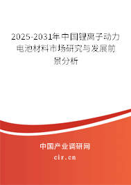 2025-2031年中國鋰離子動力電池材料市場研究與發(fā)展前景分析
