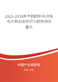 2025-2031年中國燃料電池發(fā)電市場調(diào)查研究與趨勢預測報告